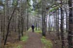 PICTURES/Cabot Trail - Coves, Forests, Trails and Falls/t_La Buttereau 6.JPG